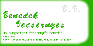 benedek vecsernyes business card