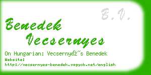 benedek vecsernyes business card